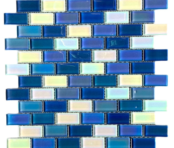 Ocean Life 1x2 - Glass Pool Tile