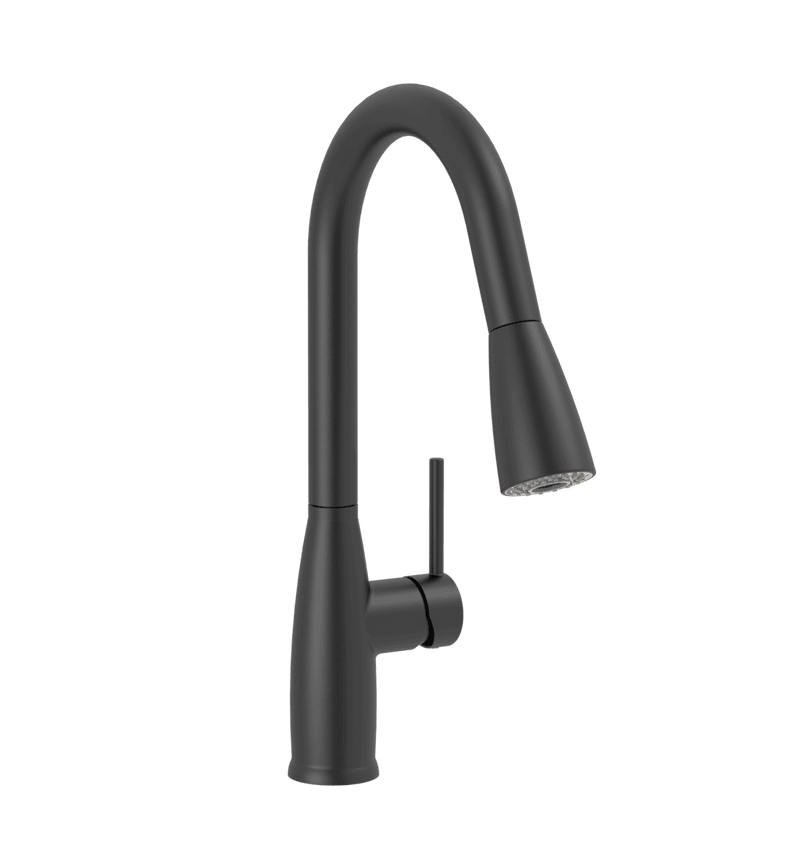 Bliss Kitchen Faucet Matte Black